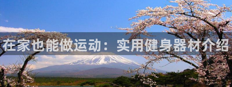征途国际集团logo:在家也能做运动:实用健身器材介绍