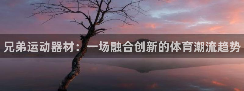 征途国际集团官网首页网址:兄弟运动器材:一场融合创新的体育潮
