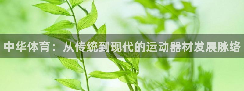 征途国际平台假的吗是真的吗:中华体育:从传统到现代的运动器材